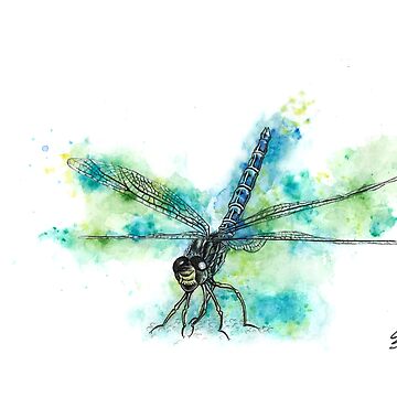 Artwork thumbnail, dragonfly watercolour art by TrishStorbeck