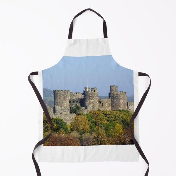 Item preview, Autumn sun on Conwy Castle designed and sold by Johindes.