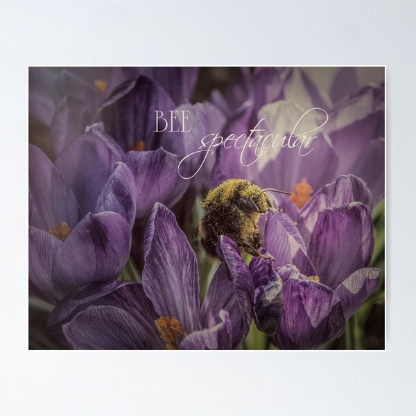 Bee Spectacular Poster
