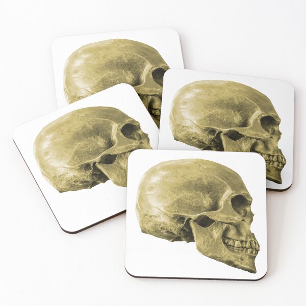 Item preview, Human Skull designed and sold by Dalyndigital Photography.