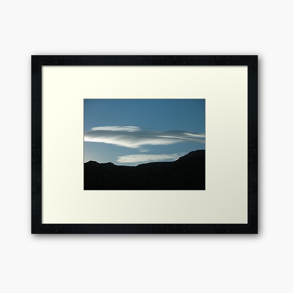 Cotton Framed Art Print