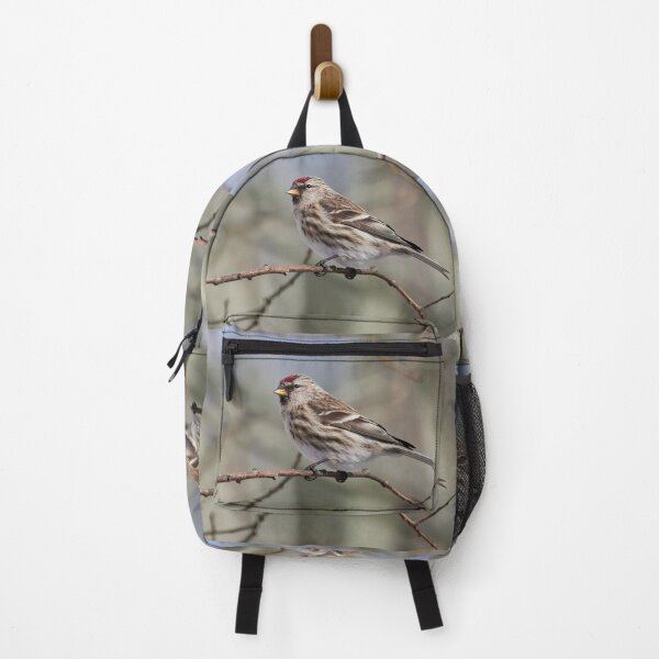 Item preview, The dark one.The common redpoll designed and sold by Jouko Lehto Photography.