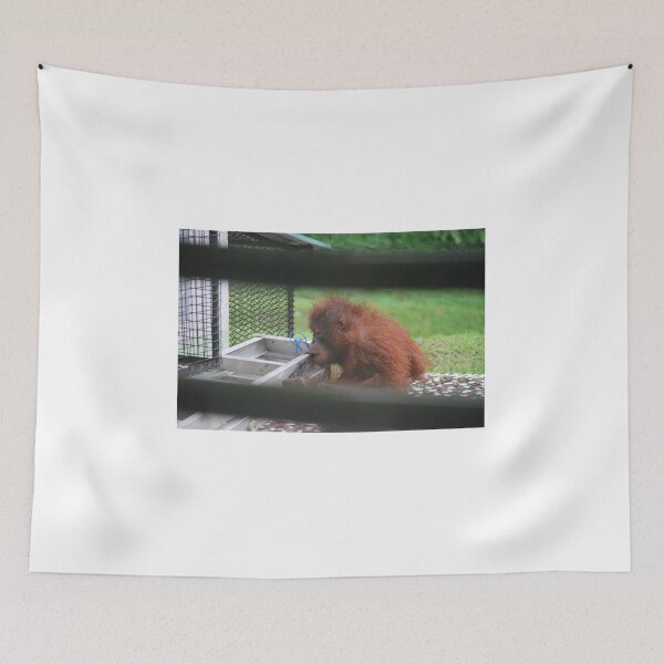 Item preview, Baby Orangutan Making Out with a Bucket designed and sold by alyoneal.