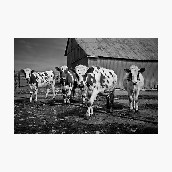 Stand Your Ground Photographic Print