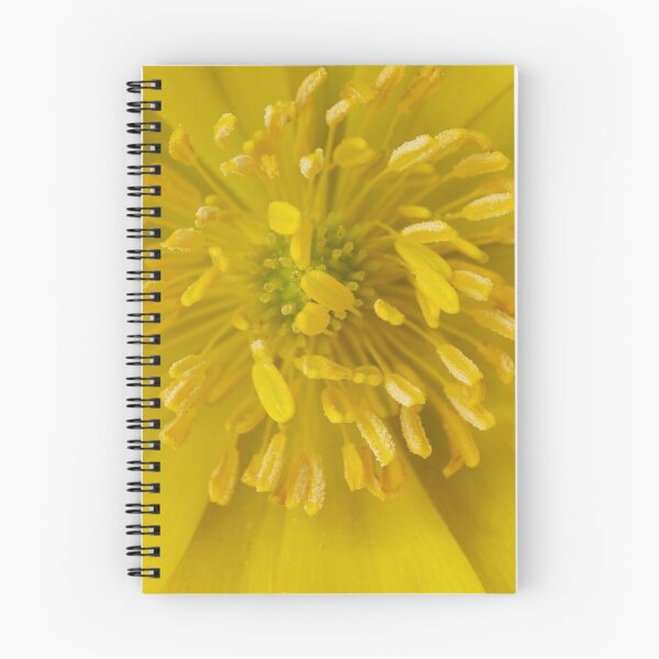 Item preview, Yellow Centre: Adonis Flower designed and sold by Skye Hohmann.