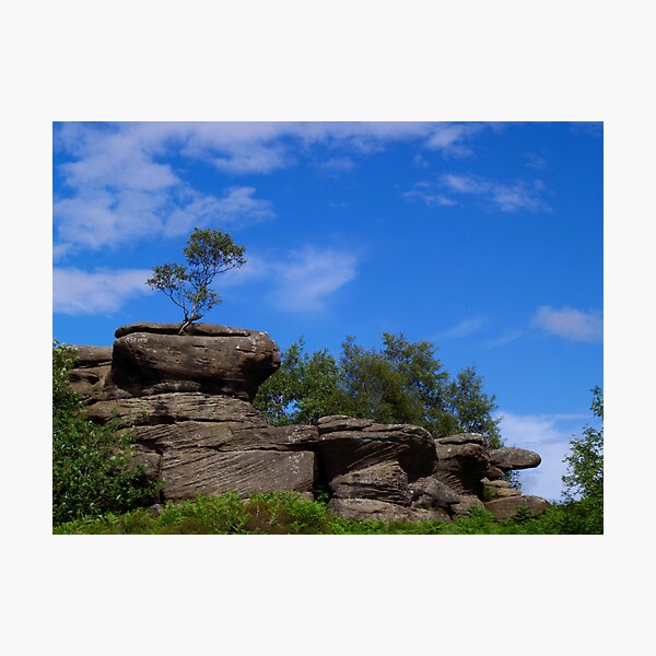 Aperçu de l'œuvre Brimham Rocks 5 créée et vendue par WatscapePhoto.