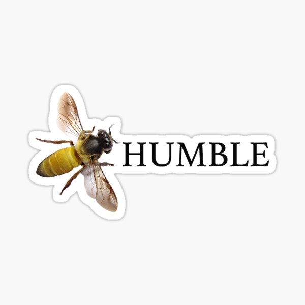 Cute Wholesome Bumble Bee with Beeutiful text | Bee gifts | Bee lover |  Gifts for children | Mouse Pad