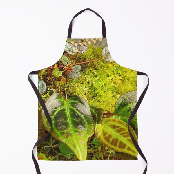 Item preview, Terrarium designed and sold by paintedmel.