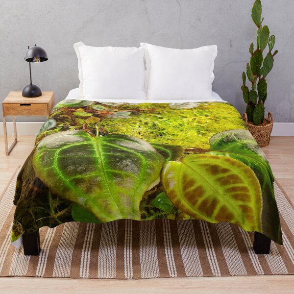 Item preview, Terrarium designed and sold by paintedmel.