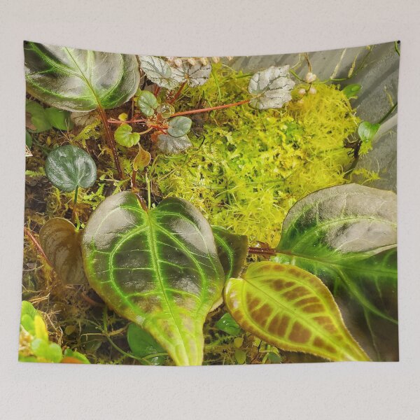 Item preview, Terrarium designed and sold by paintedmel.