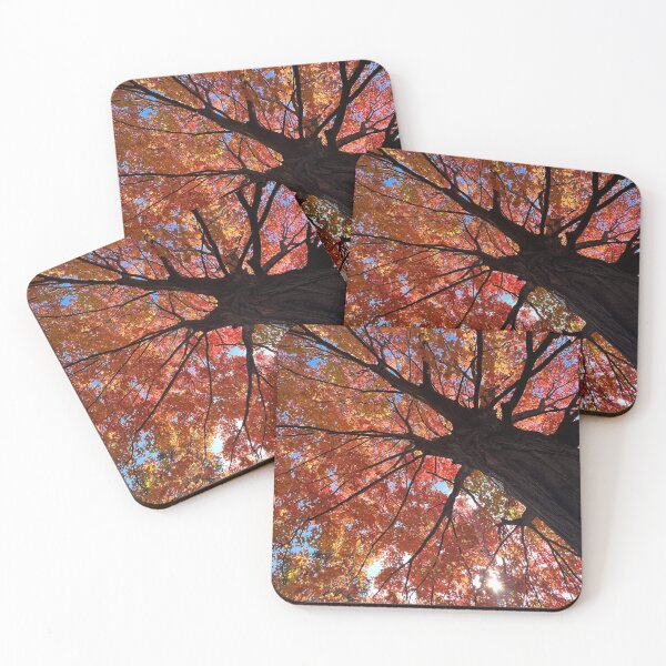 Item preview, Fall is the Season 4 designed and sold by Abeink1030.