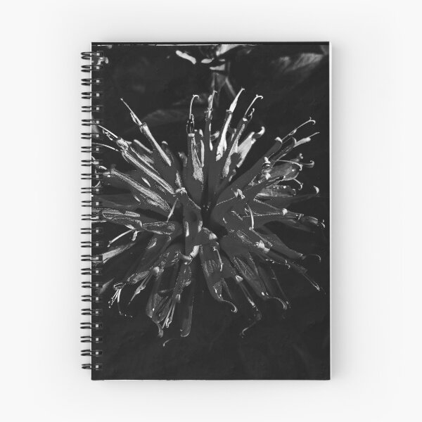Item preview, Burst designed and sold by bobewing.