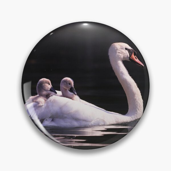 Item preview, Cool Little Dude designed and sold by Terri Waters Photography & Design.
