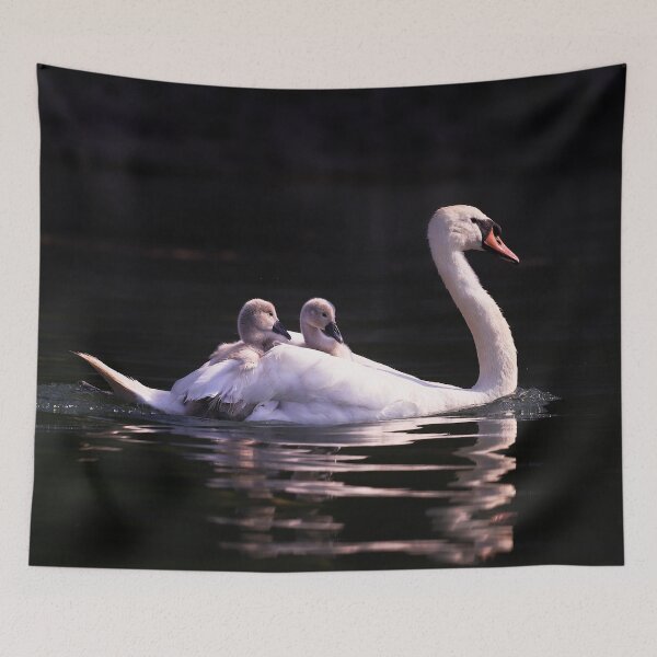 Item preview, Cool Little Dude designed and sold by Terri Waters Photography & Design.
