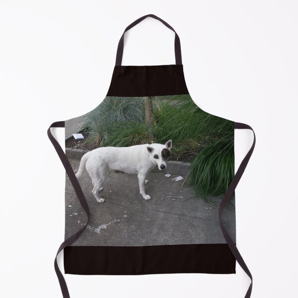 Item preview, How long will she stay in the thrift store??? designed and sold by Gabriele Maurus.