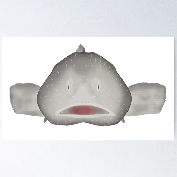 Blob Fish Funny Face Fish' Poster 18x24