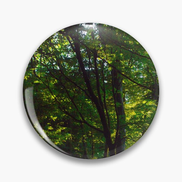Item preview, Light Rays Streaming Through Trees in the Late Afternoon  designed and sold by BritishYank.