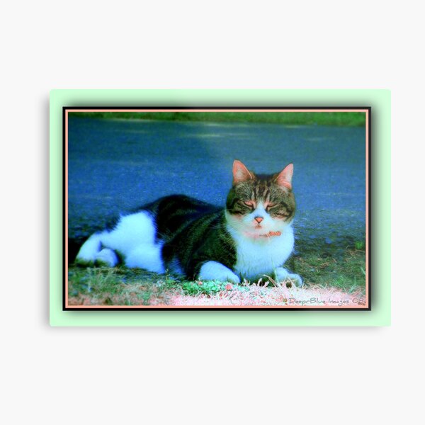 Pretty In Pink Metal Print