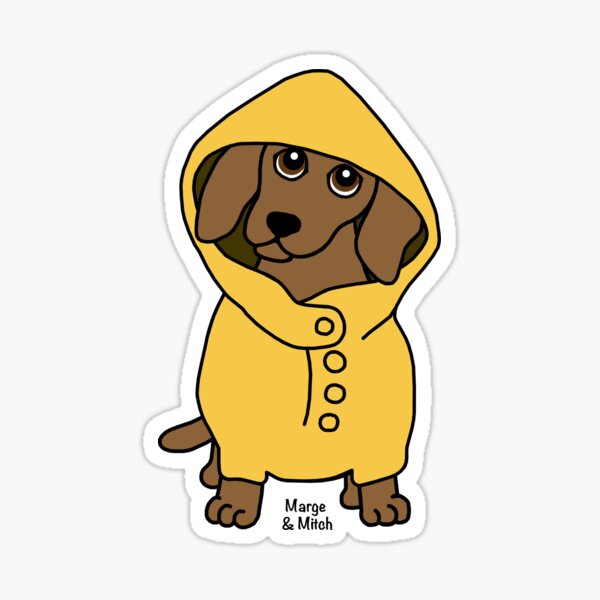 " Cute Dachshund Sausage Dog Wearing a Raincoat" Sticker for Sale by Scatthecat Redbubble