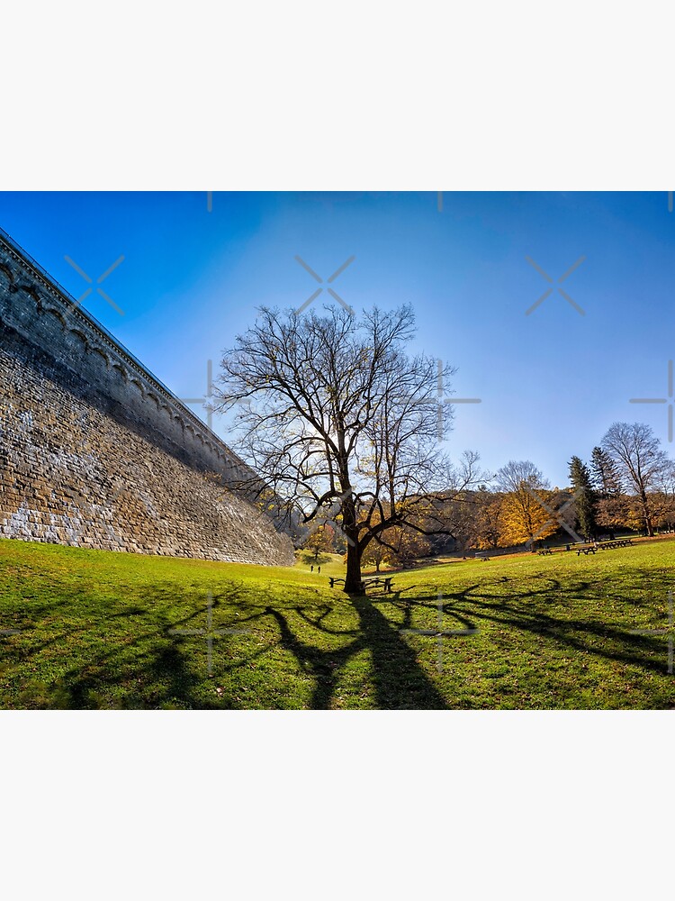 "Croton Park Tree" Poster for Sale by RichScalzo Redbubble