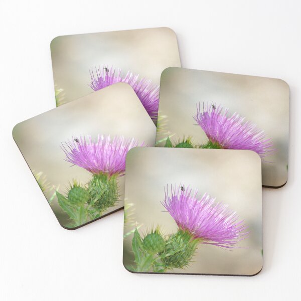 Item preview, Thistle designed and sold by Vicki Pelham.