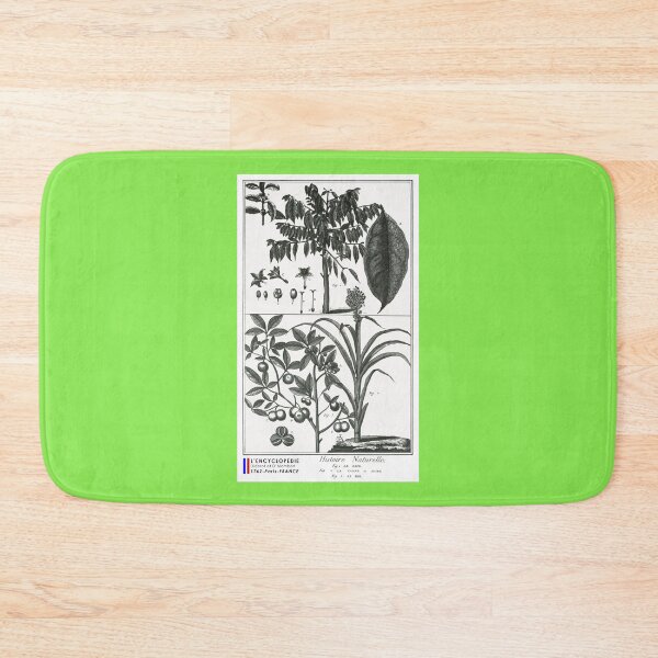 Item preview, Coffee, tea, sugar cane, engraving1762 designed and sold by 3-Petits-Lapins.