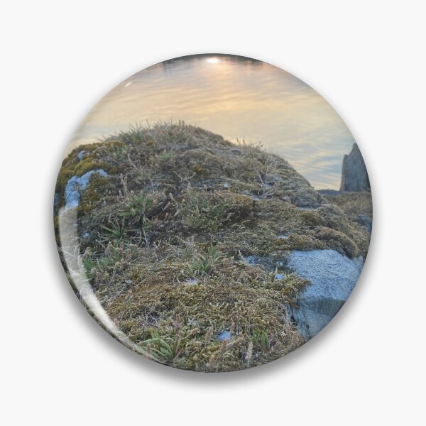 Item preview, Moss and lichen on rocks overlooking Kilmakilloge harbour designed and sold by Sinemathk.