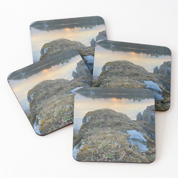 Item preview, Moss and lichen on rocks overlooking Kilmakilloge harbour designed and sold by Sinemathk.
