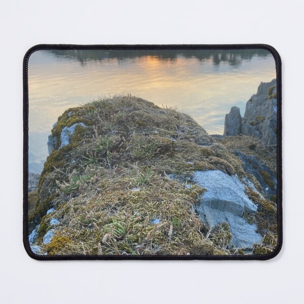 Item preview, Moss and lichen on rocks overlooking Kilmakilloge harbour designed and sold by Sinemathk.