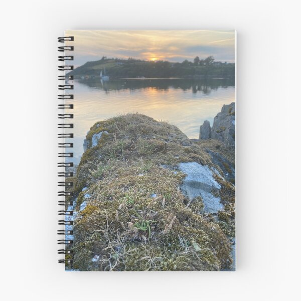 Item preview, Moss and lichen on rocks overlooking Kilmakilloge harbour designed and sold by Sinemathk.