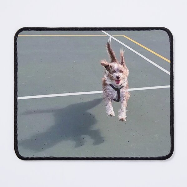 Item preview, The cutest dog I've ever seen designed and sold by paintedmel.