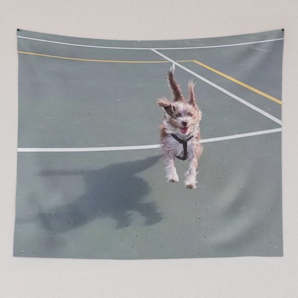 Item preview, The cutest dog I've ever seen designed and sold by paintedmel.