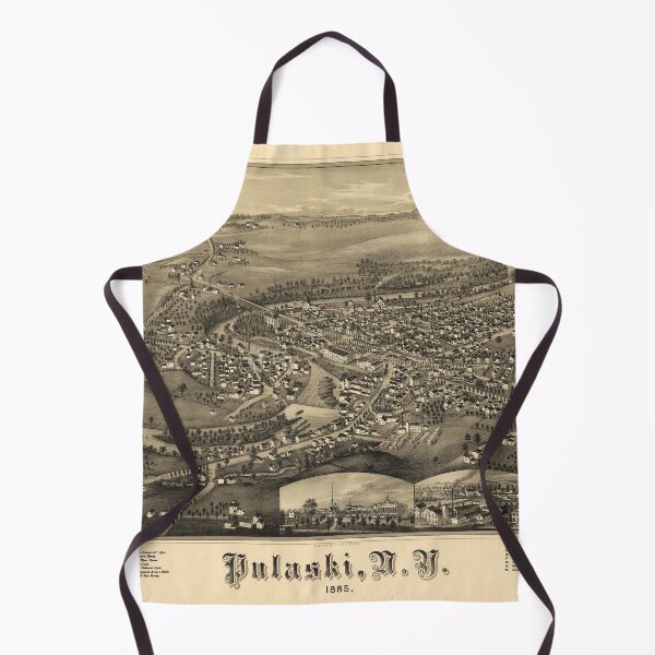 Item preview, Pulaski, New York (1885) designed and sold by allhistory.