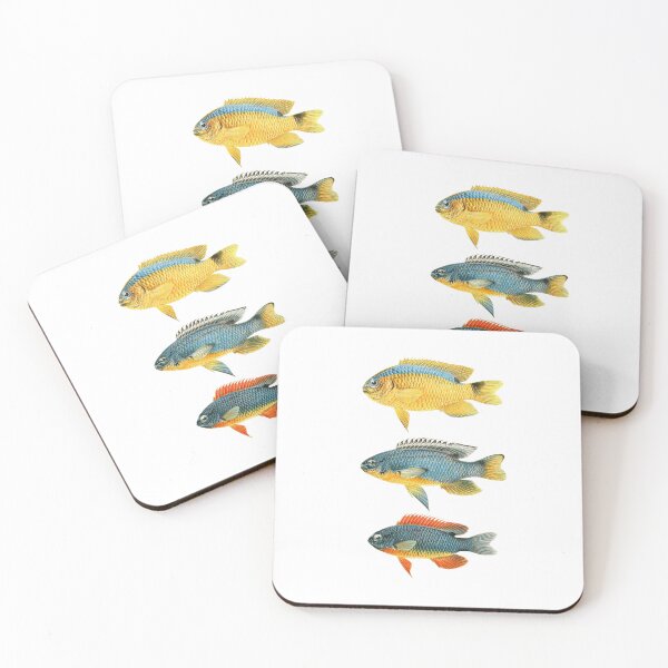 Item preview, Colorful fish chart (white) designed and sold by Madame Memento.