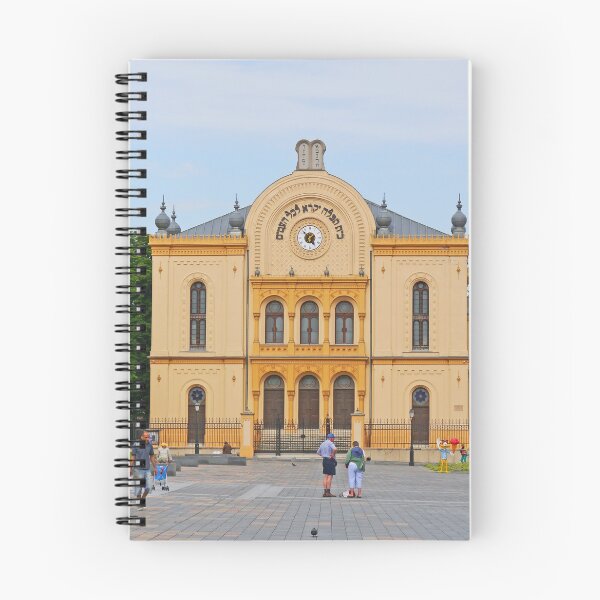 Aperçu de l'œuvre La synagogue de Pécs créée et vendue par Graeme Hyde.