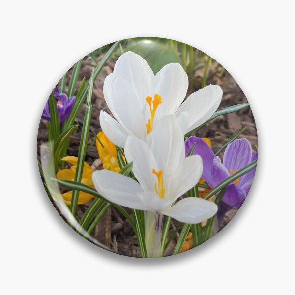 Item preview, Spring Is Here designed and sold by oksanap999.