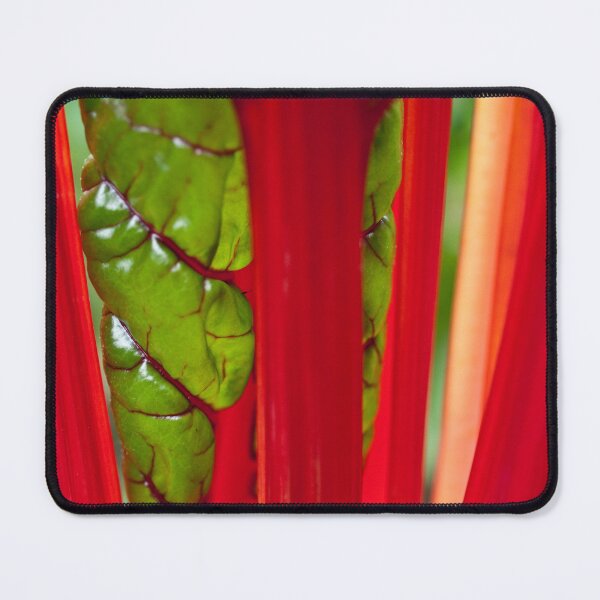Item preview, Swiss Chard designed and sold by Gabriele Maurus.
