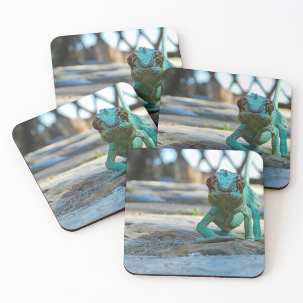 Item preview, Amazing Colorful Panther Chameleon, Madagascar #3 designed and sold by Ocera-Photo.