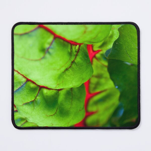 Item preview, Swiss Chard 2 designed and sold by Gabriele Maurus.