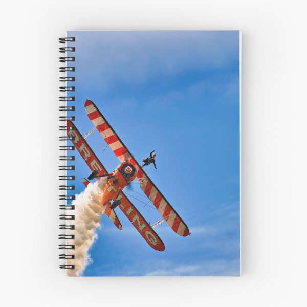 Item preview, Stearman Wing Walker designed and sold by Richard Allen.