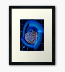 Blue Eyed Girl Framed Print