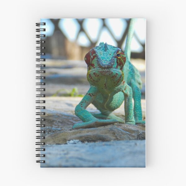 Item preview, Amazing Colorful Panther Chameleon, Madagascar #3 designed and sold by Ocera-Photo.