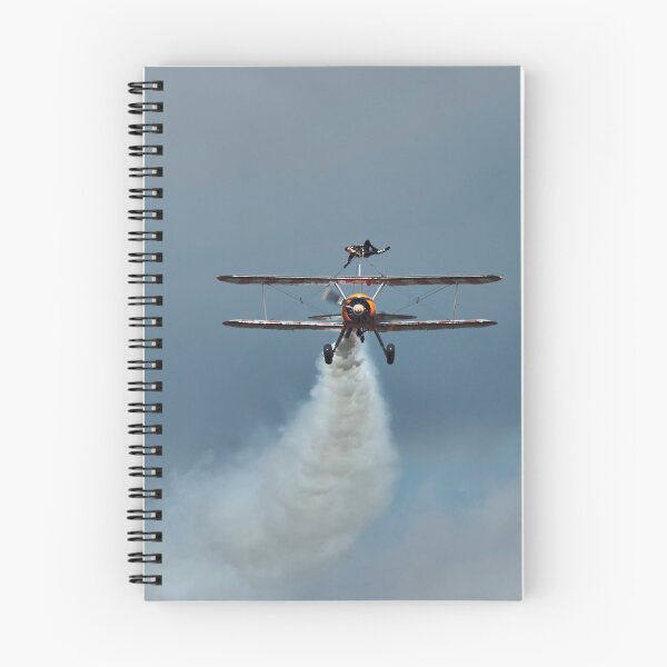 Item preview, Stearman Wing Walker designed and sold by Richard Allen.