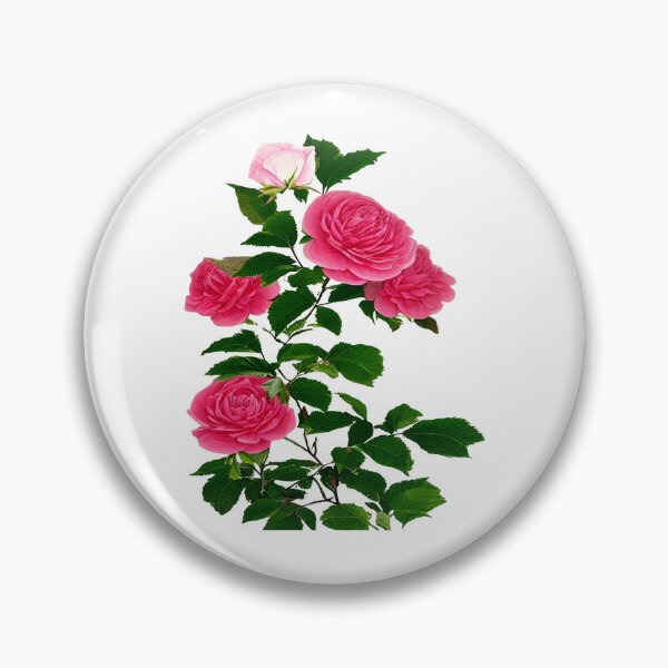 Item preview, Digital image of red rose in antique book illustration style designed and sold by Gala-life1.