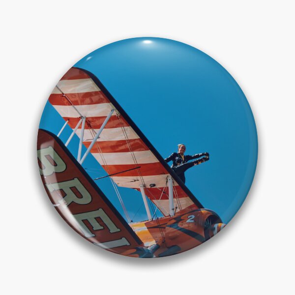 Item preview, Stearman Wing Walker designed and sold by Richard Allen.