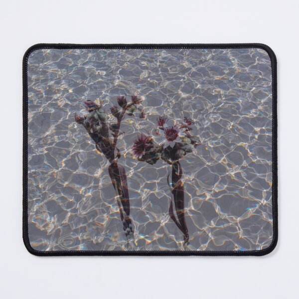Item preview, Dancing cactus flowers in water ripples  designed and sold by Khala.