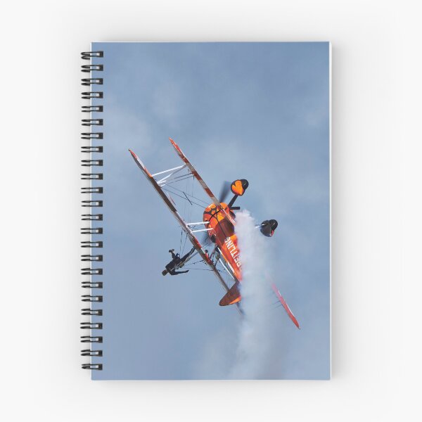 Item preview, Stearman Wing Walker designed and sold by Richard Allen.