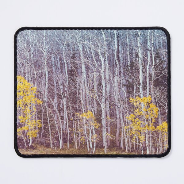 Item preview, Aspens Late Autumn designed and sold by jvnimages.
