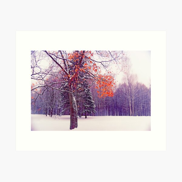 Colouring the Winter Art Print
