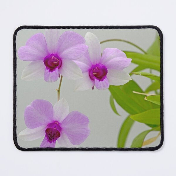 Item preview, Three Little Blossoms designed and sold by alanathrower.
